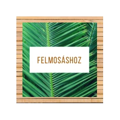 Felmosáshoz