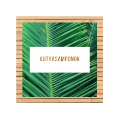 Kutyasamponok